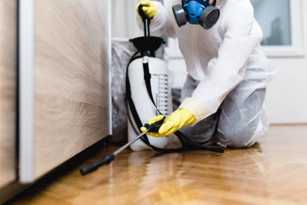 Best Flea Control Services  in Spring Lake Heights, NJ