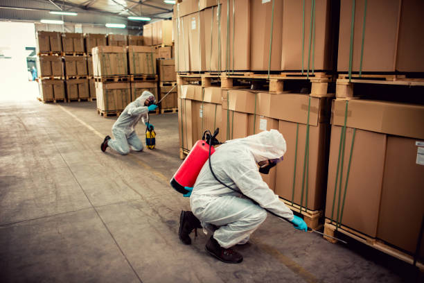 Best Affordable Pest Control Services  in Spring Lake Heights, NJ