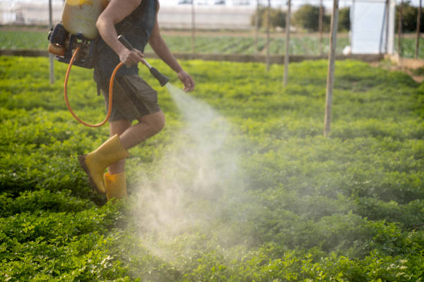 Best Mosquito Control Services  in Spring Lake Heights, NJ