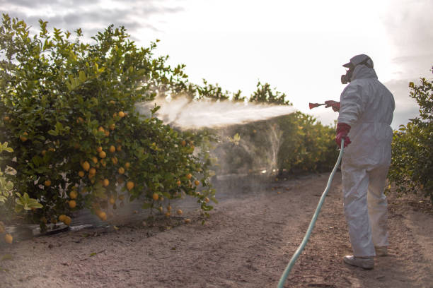 Best Pest Removal Services  in Spring Lake Heights, NJ