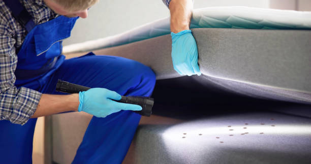 Best Pest Inspection Near Me  in Spring Lake Heights, NJ