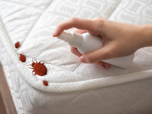 Best Local Pest Control Services  in Spring Lake Heights, NJ