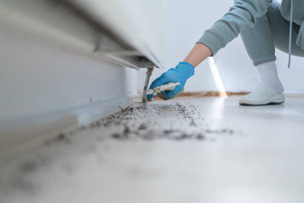Best Exterminator Services  in Spring Lake Heights, NJ